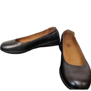 Samuel Hubbard Freedom Dance